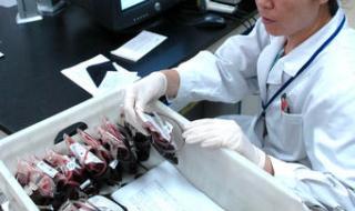 天津血液研究所